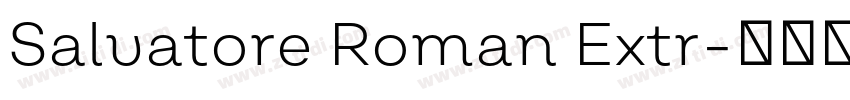 Salvatore Roman Extr字体转换 Salvatore Roman Extr字体转换